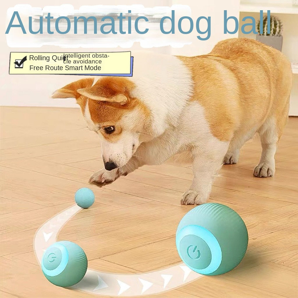 Pet Cat Toy Smart Rolling Ball Self-Entertainment Anti-Boredom Ball Durable Bite-Resistant Cat Toy