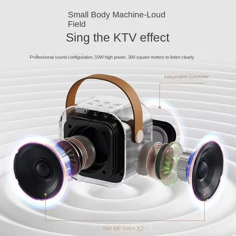 Wireless Bluetooth Microphone Speaker with Karaoke Function, Portable All-in-One Home KTV Set